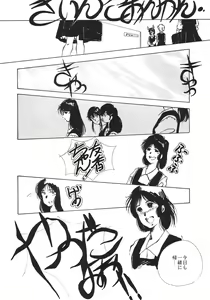 Page 45 of PAPIIT Vol.2 - preview thumbnail