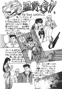 Page 49 of PAPIIT Vol.2 - preview thumbnail