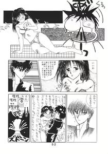 Page 53 of PAPIIT Vol.2 - preview thumbnail