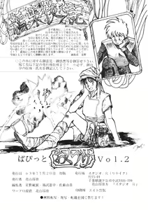 Page 84 of PAPIIT Vol.2 - preview thumbnail