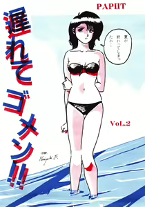 Page 85 of PAPIIT Vol.2 - preview thumbnail