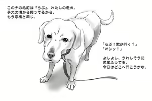 Page 3 of Dog LOVE Life - preview thumbnail
