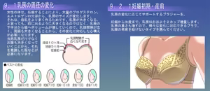 Page 803 of Yureru Bus Guide - Oppai ga Ippai - preview thumbnail