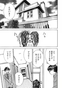 Page 6 of Young Champion Retsu Vol.11 - preview thumbnail