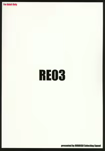 Page 29 of RE03 - preview thumbnail
