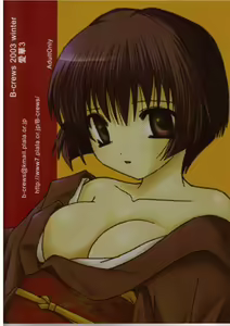 Page 21 of Aika 3 - preview thumbnail