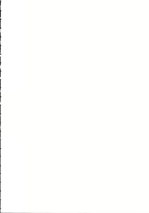 Page 3 of Chousen Ame Ver. 15.0 - preview thumbnail