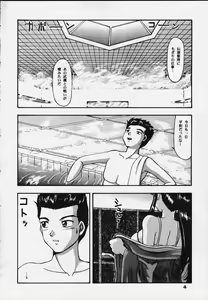 Page 3 of Cameleon Technology 5 - preview thumbnail