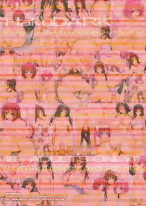 Page 17 of HakuDARK (decensored) - preview thumbnail