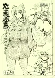 Tamabura — hentai manga cover on Fhentai