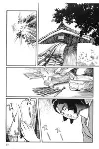 Page 28 of Hanzou no Mon Vol.13 - preview thumbnail