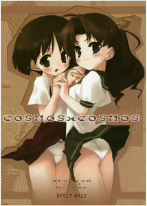 COSMOSxCOSMOS — hentai manga cover on Fhentai
