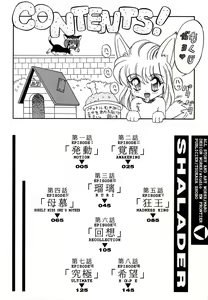 Page 4 of SHALADER Vol.01 - preview thumbnail