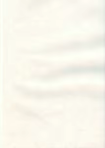 Page 3 of Maniac Animals 10 - preview thumbnail