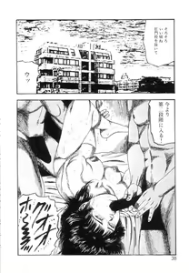 Page 40 of Shiro no Mokushiroku Vol. 7 - Shiiku Ningyou Erika no Shou - preview thumbnail