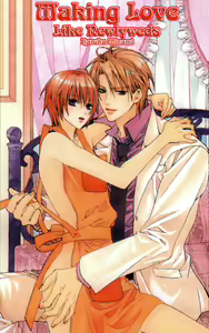 Making_love_like_newlyweds_ — hentai manga cover on Fhentai