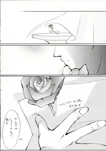 Page 117 of MODEL SAVIOR - preview thumbnail