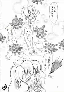 Page 65 of MODEL SAVIOR - preview thumbnail