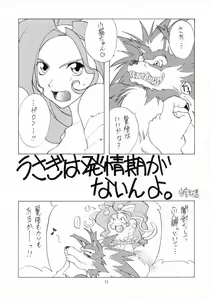 Page 70 of MODEL SAVIOR - preview thumbnail