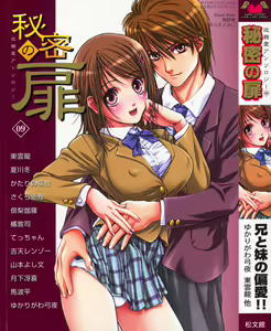 Himitsu no Tobira Vol. 9 — hentai manga cover on Fhentai
