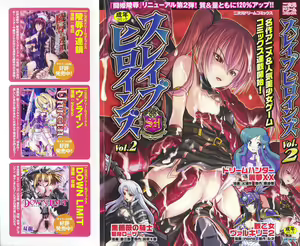 Slave Heroines Vol. 2 - hentai manga cover image