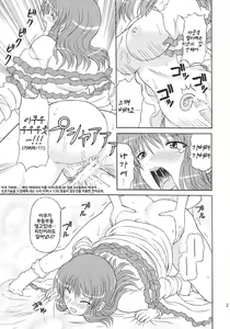 Page 30 of Touhou Youjo Ranbu 10 - preview thumbnail