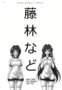 Page 3 of Fujibayashi Nado - Fujibayashi Twins After Story (decensored) - preview thumbnail