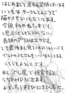Page 3 of AriMariPachu~n - preview thumbnail