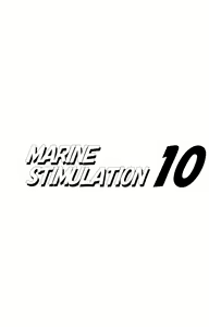 Page 3 of MARINE STIMULATION 10 - preview thumbnail