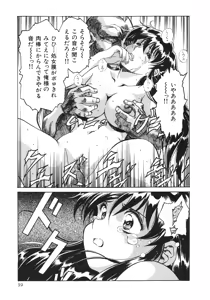 Page 40 of The HENREIKAI - preview thumbnail
