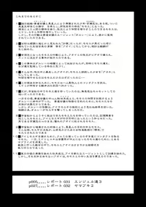 Page 3 of Dulce Report 12 - preview thumbnail