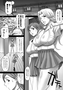 Page 25 of BRICOLA Soushuuhen - preview thumbnail
