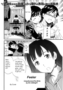 Feeler - hentai manga cover image