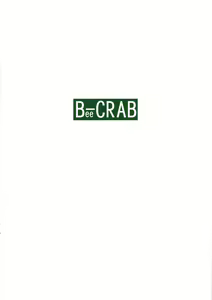 Page 2 of Bee-CRAB - preview thumbnail