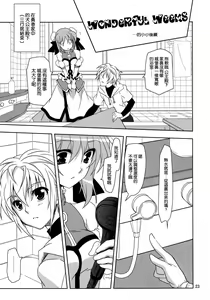 Page 23 of Wonderful Agent - preview thumbnail