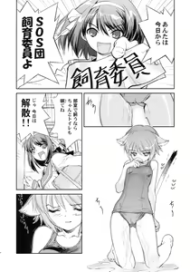 Page 5 of Arterna - preview thumbnail