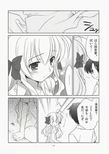 Page 13 of Erika Arterial - preview thumbnail