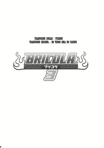 Page 3 of BRICOLA 3 - preview thumbnail