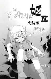 Page 3 of Toraware Hime IV Kanketsuhen - preview thumbnail
