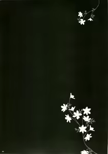 Page 5 of Please Call Me - preview thumbnail