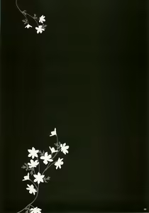 Page 8 of Please Call Me - preview thumbnail