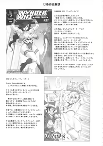 Page 43 of NIPPON CHAMBER - preview thumbnail
