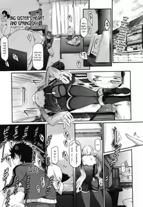 Aneki Kokoro to Haru no Sora | Big Sister's Heart and Spring Sky — hentai manga cover on Fhentai
