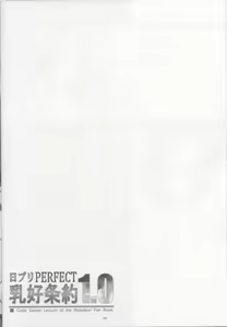 Page 3 of NichiBri PERFECT Nyuukou Jouyaku 1.0 - preview thumbnail