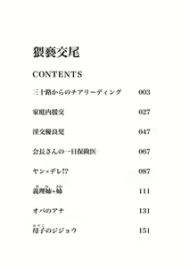 Page 4 of Waisetsu Koubi - preview thumbnail