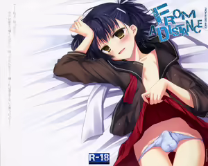 From a Distance - hentai manga cover image