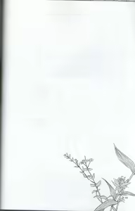 Page 20 of Teikakazura no Hana to Hototogisu - preview thumbnail