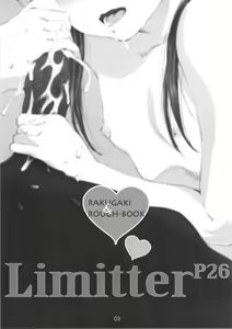 Page 3 of Limitter P26 - preview thumbnail