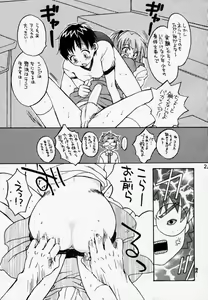 Page 24 of Akai Tori Nigeta - preview thumbnail
