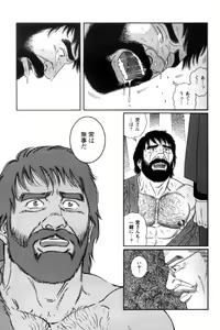 Page 247 of Shirogane-no-Hana The Silver Flower vol. 3 - preview thumbnail
